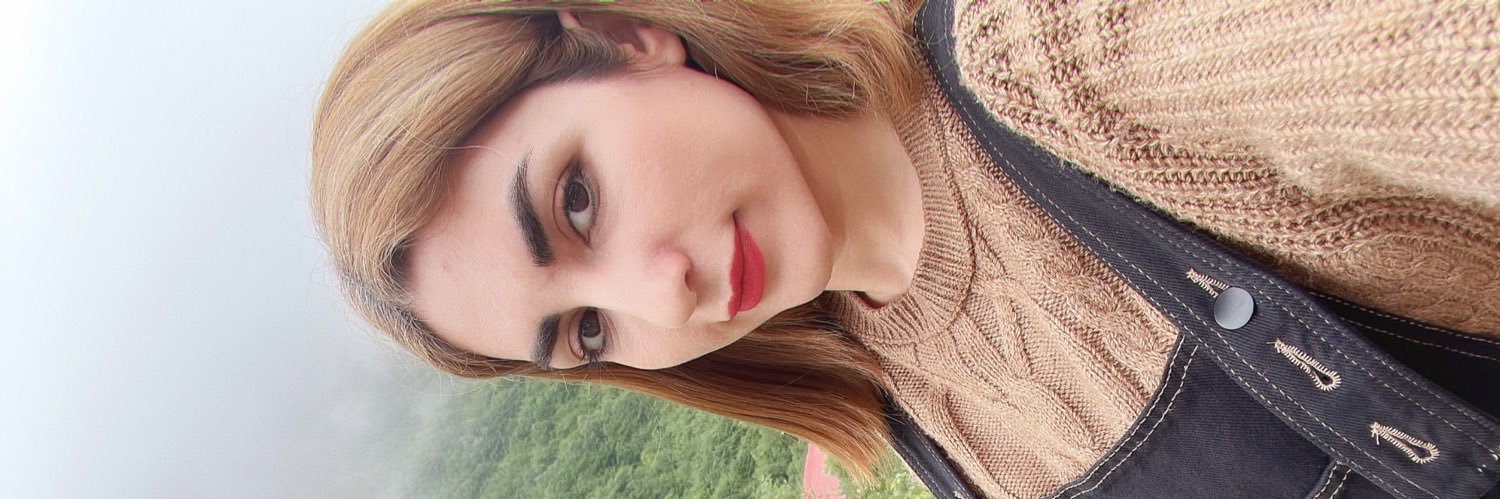 parisa's banner
