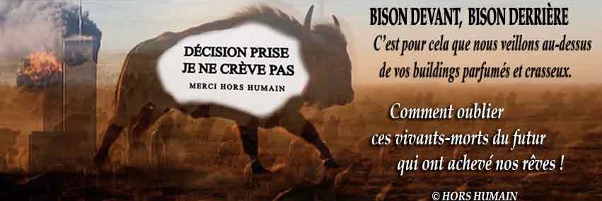 HorsHumain's profile banner image