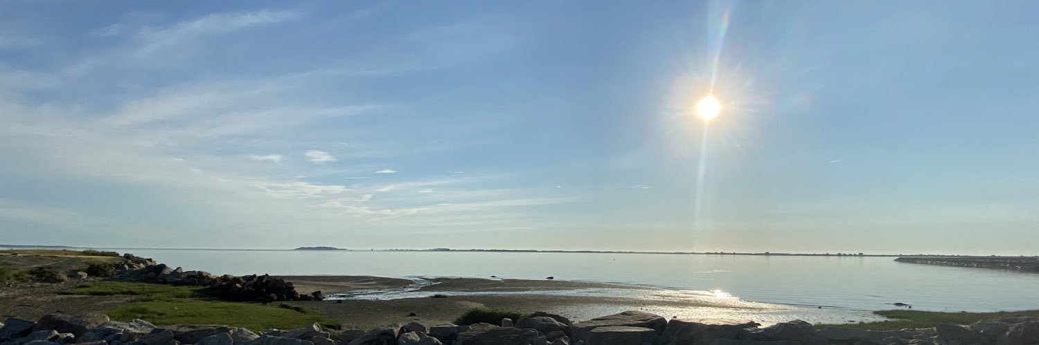 rileyfinn38's profile banner image