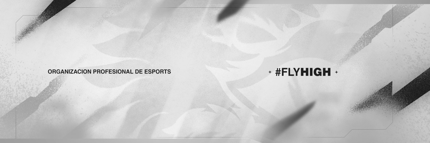 Zeltic Esports Profile Banner