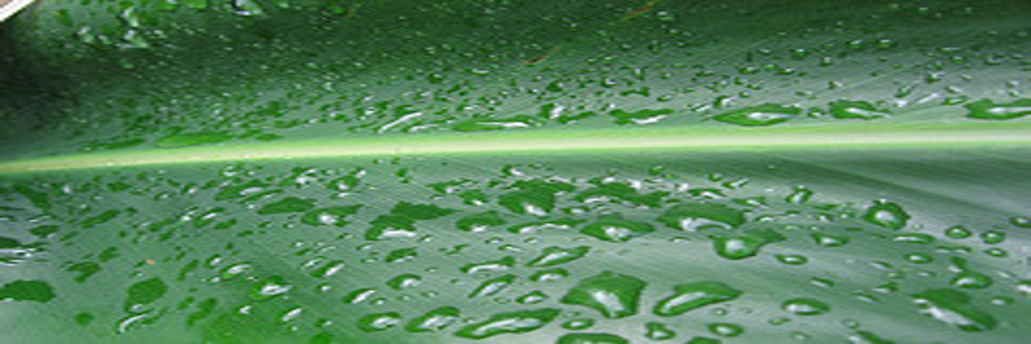 Toxin/Spider🍉🍀 banner