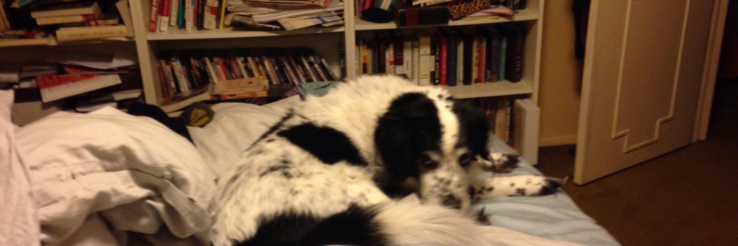 suburban homesick blues banner