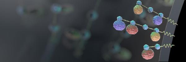 scisignal Profile Banner