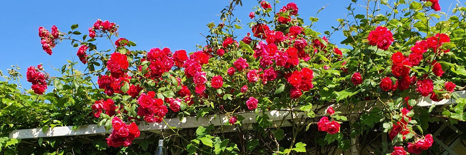 AdrienneBean9's profile banner image
