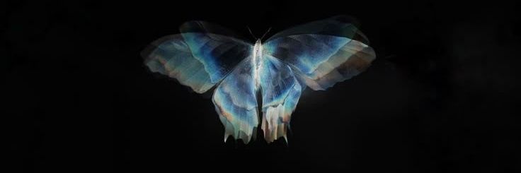 Bones banner
