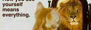 EngAlubala's profile banner image