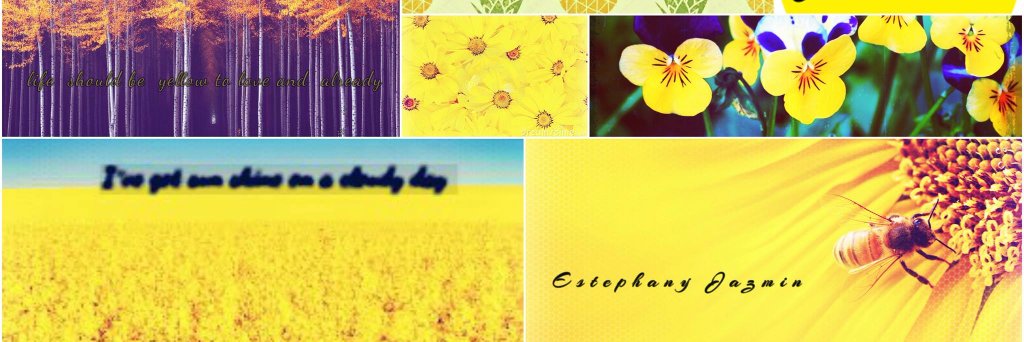 Estepyazmin's profile banner image