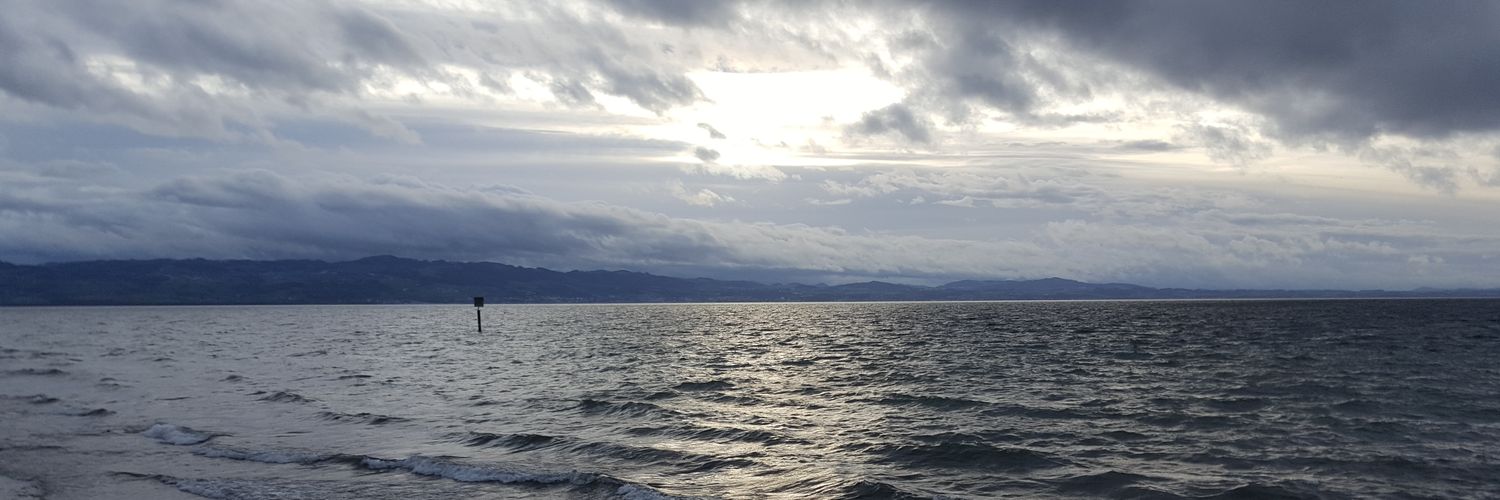 FOisme's profile banner image