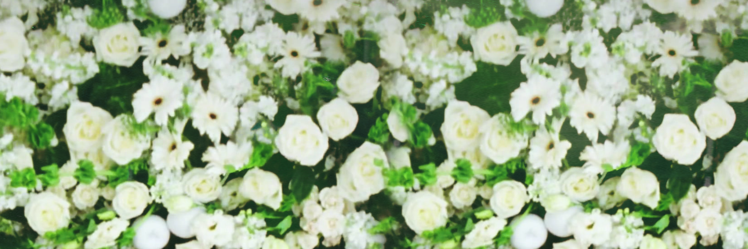 2013__Jonny's profile banner image