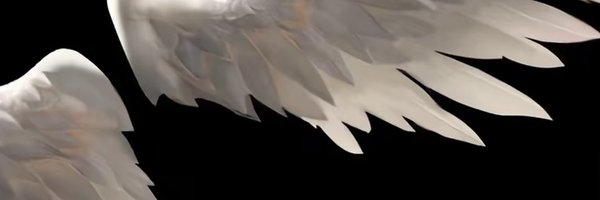 amashthrows Profile Banner