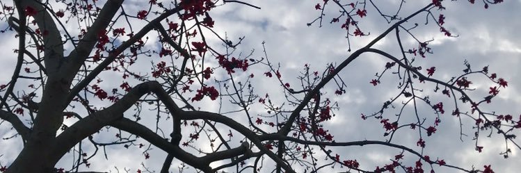 Kennramnauth's profile banner image