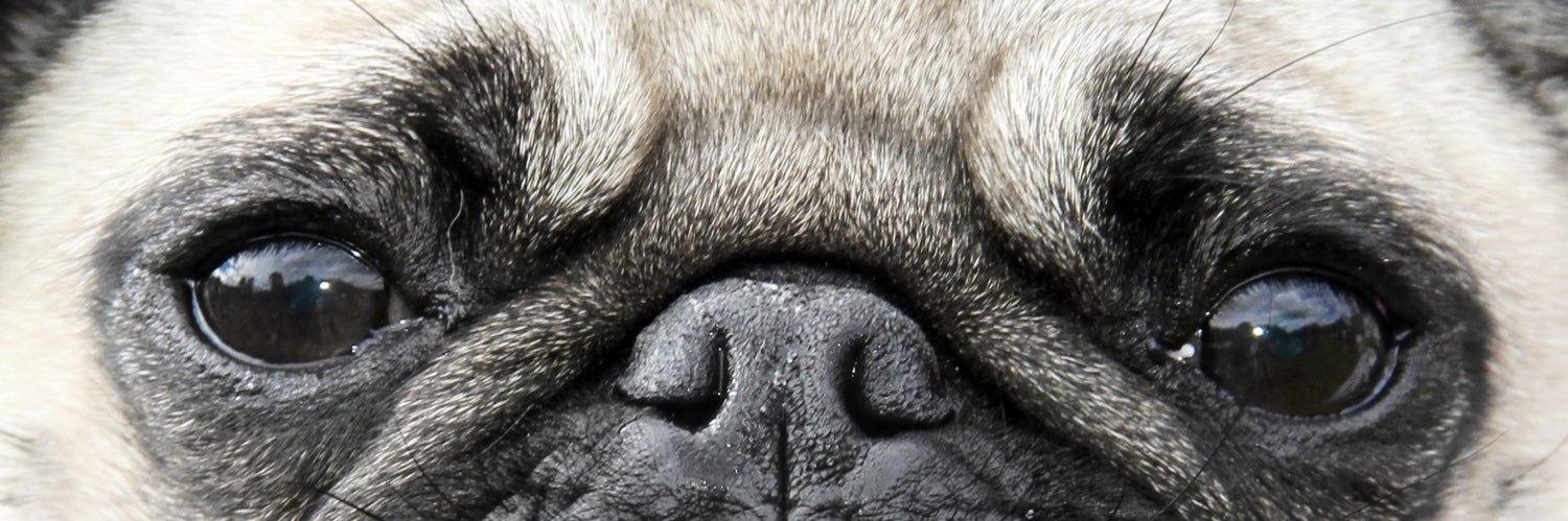 MacroShortBalls banner