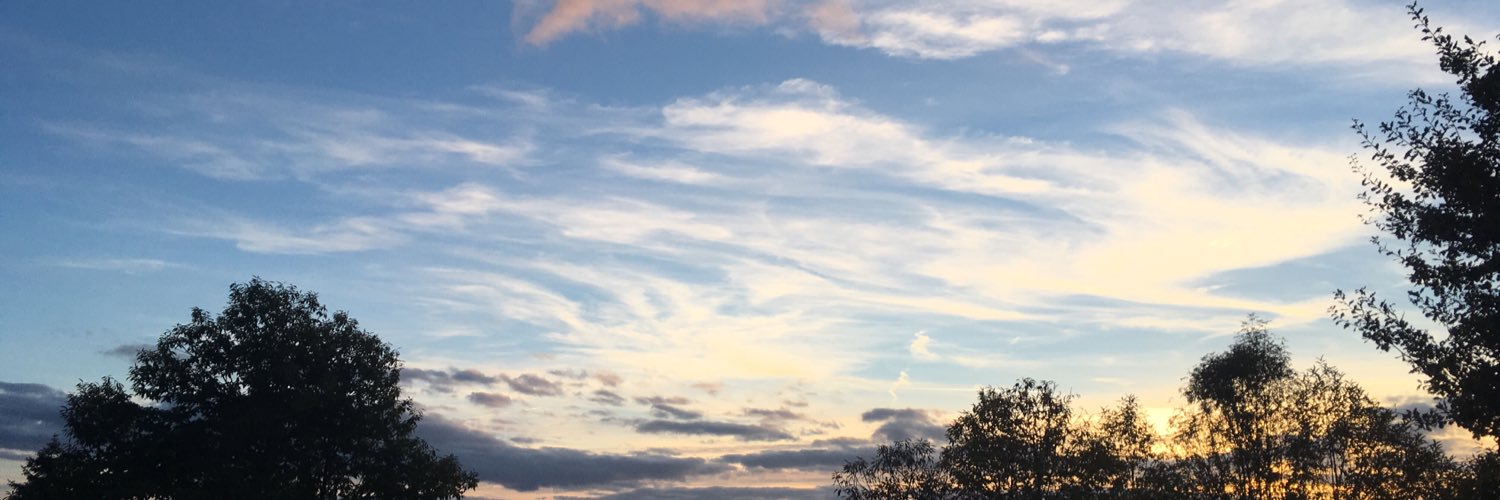 SaroliClem's profile banner image