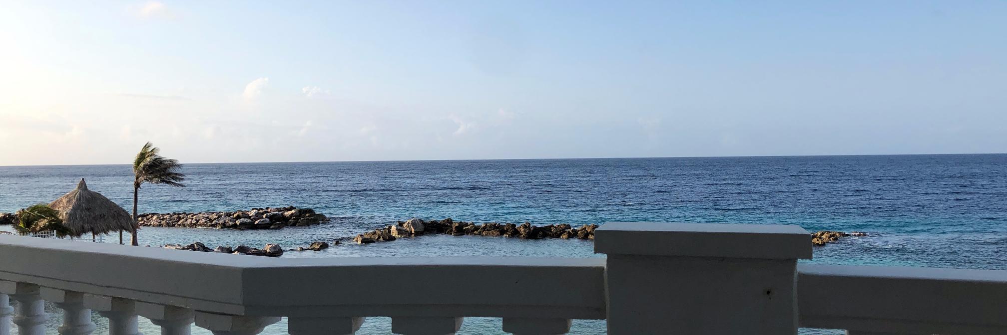 Freek van Beetz banner