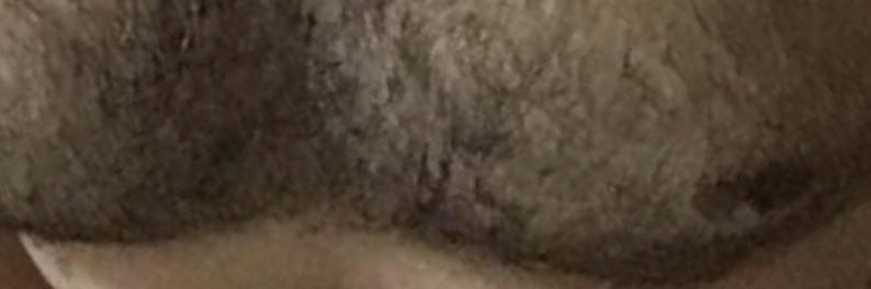 pegacaoacatv's profile banner image