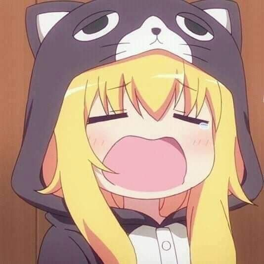 Toki_capybara's profile banner image
