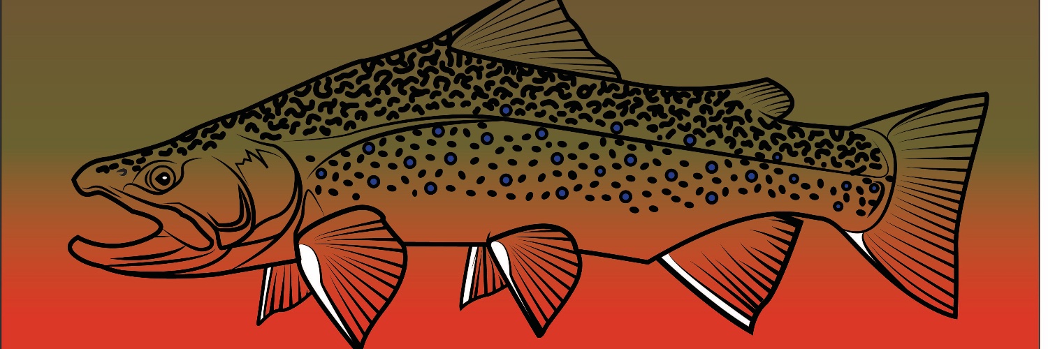 mattabbott14's profile banner image