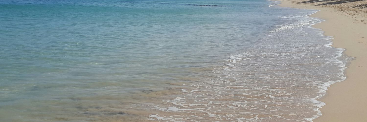 ShalaSee's profile banner image