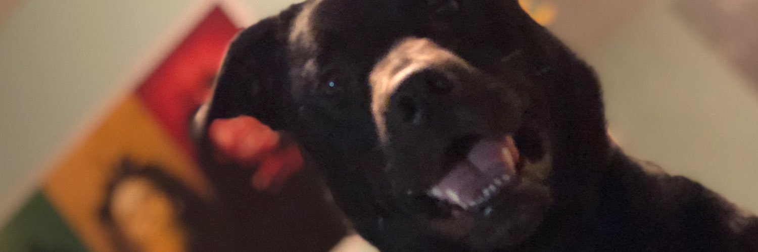 That_kid_Harley's profile banner image