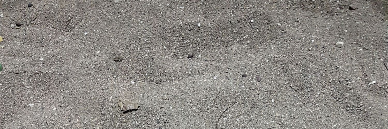 crooke85's profile banner image