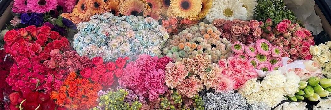 Asa EL-ROI ✨ 🌷💐 banner