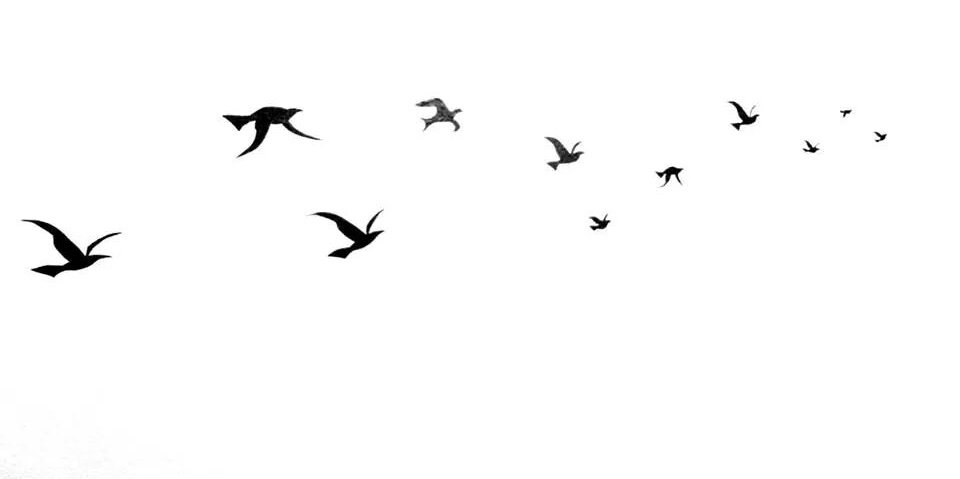 _thaynaralmeida's profile banner image