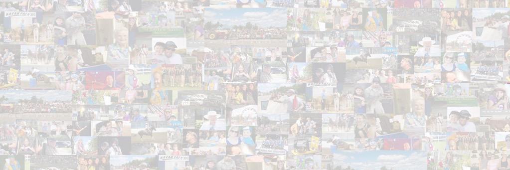 Navan Fair 2022 banner