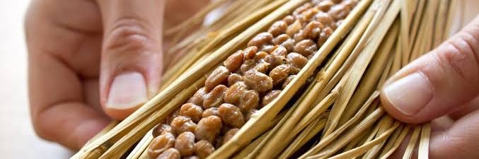 Natto banner