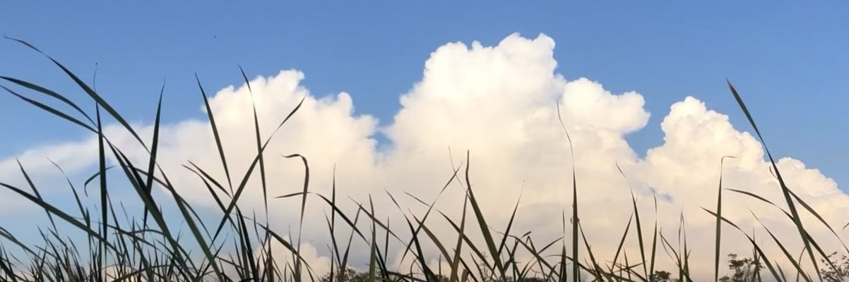 Lithium啵啵 banner