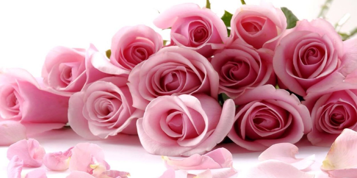 KarenHasM's profile banner image