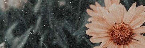 Ahrrdi's profile banner image