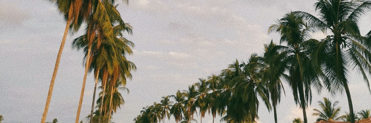 vanessan03's profile banner image
