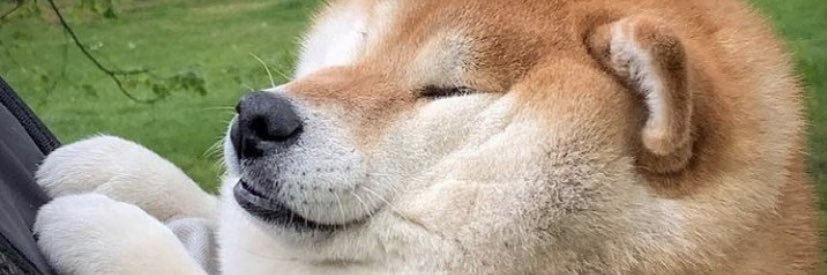 Manwiththeplan banner