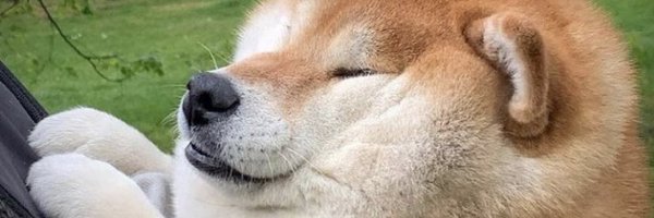 cryptomuchwow Profile Banner