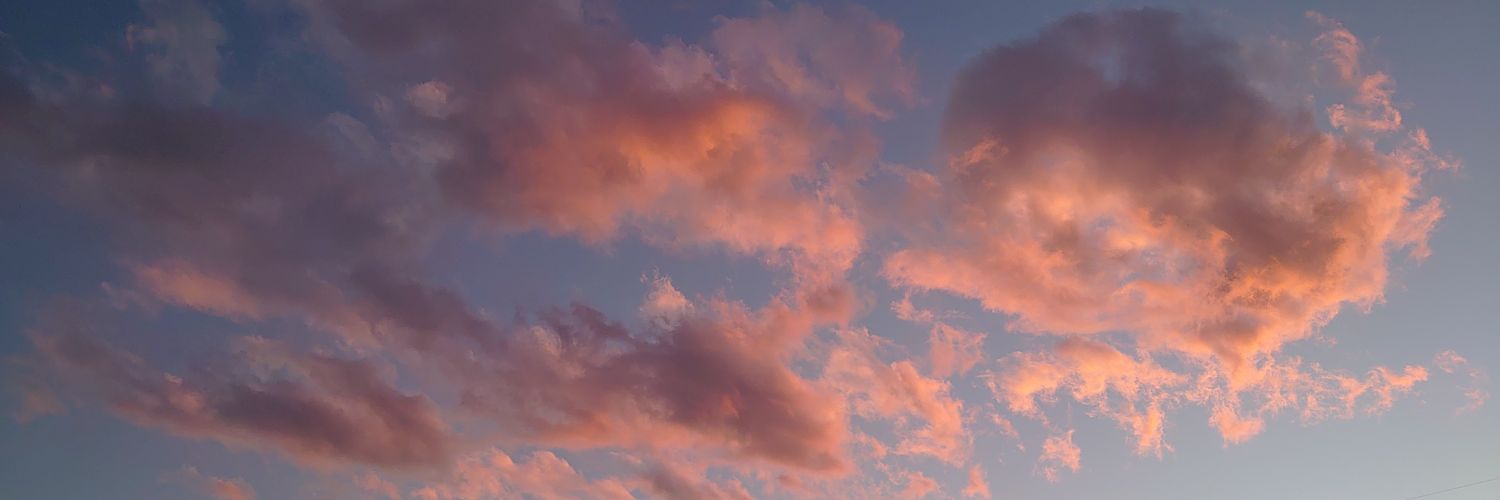 Midoritako's profile banner image