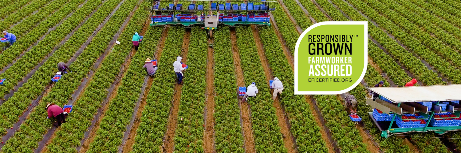 Equitable Food Initiative banner