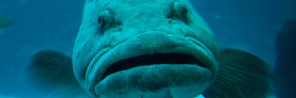 slapzalt's profile banner image
