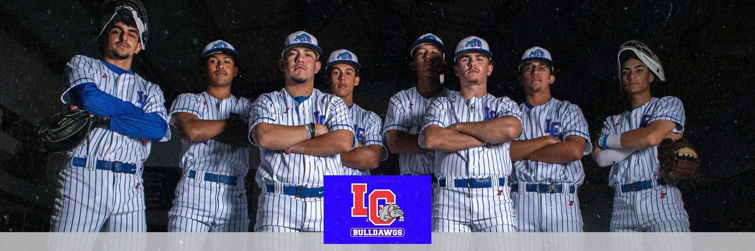 Bulldawg Baseball LC banner