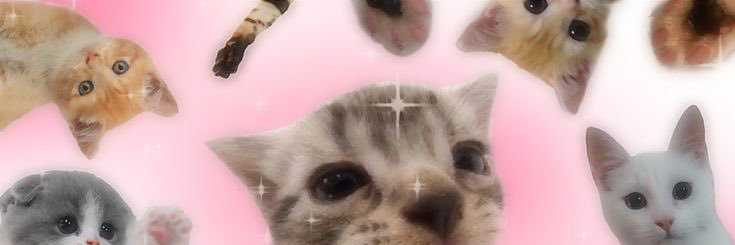 annaouana's profile banner image