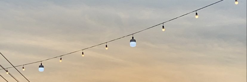 ʕ•ᴥ•ʔ banner