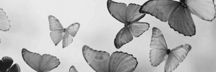 Nasha banner