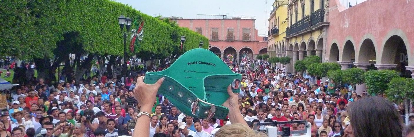 promocionesguilbert banner