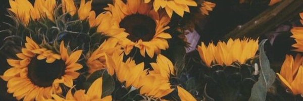 carolineee171 Profile Banner