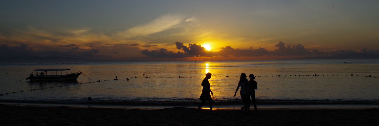 Monitaro🔥FIRE民 banner