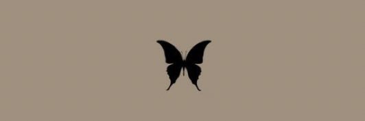 _abaughy's profile banner image