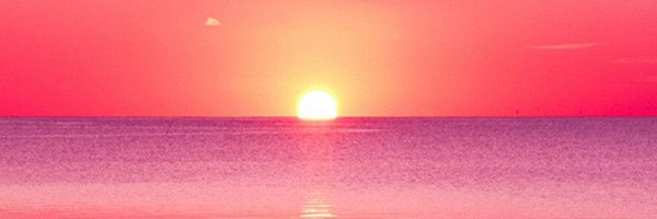 PfChrissy Profile Banner