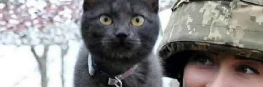 PerfoHub's profile banner image