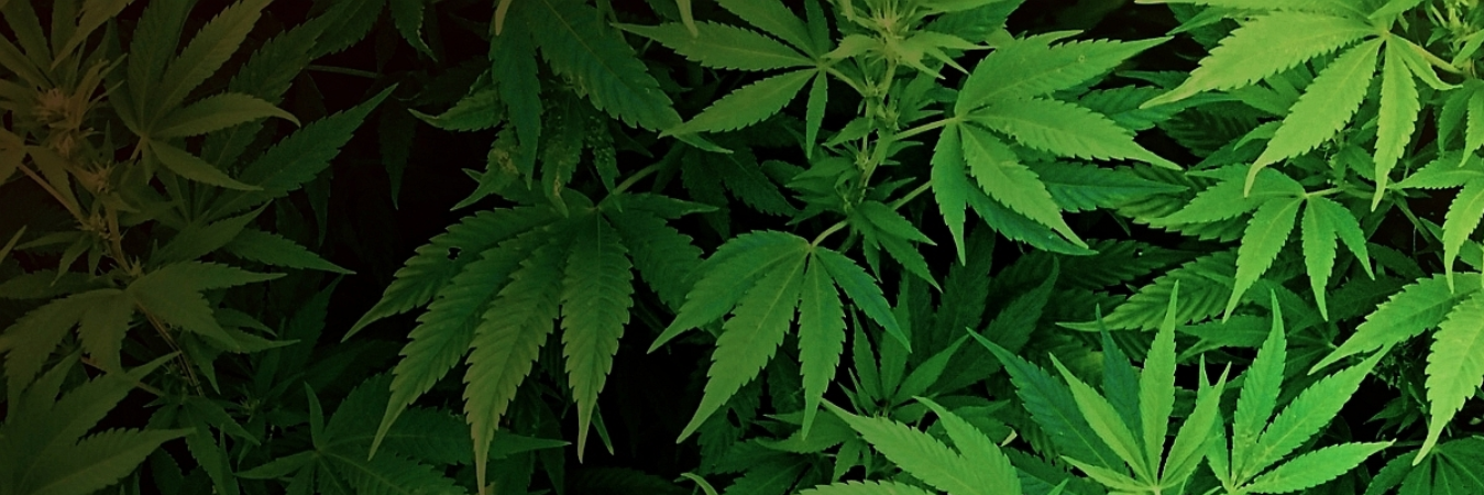 DiegoKush's profile banner image