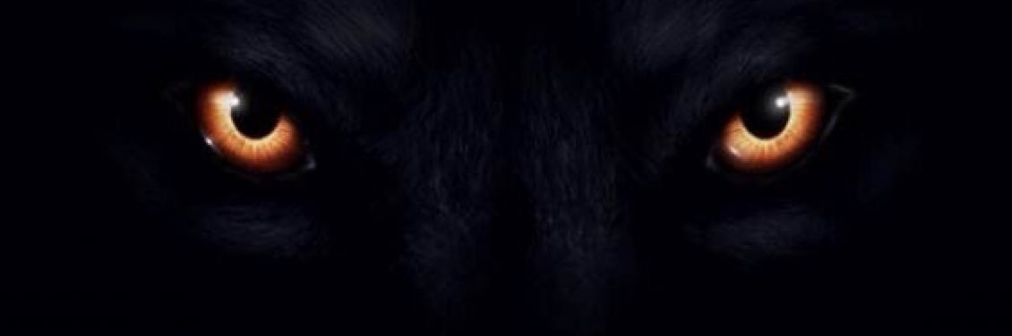 Brandon Maxey banner