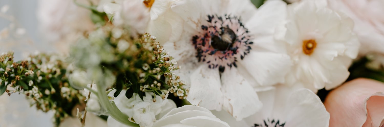 Morgan_willy's profile banner image